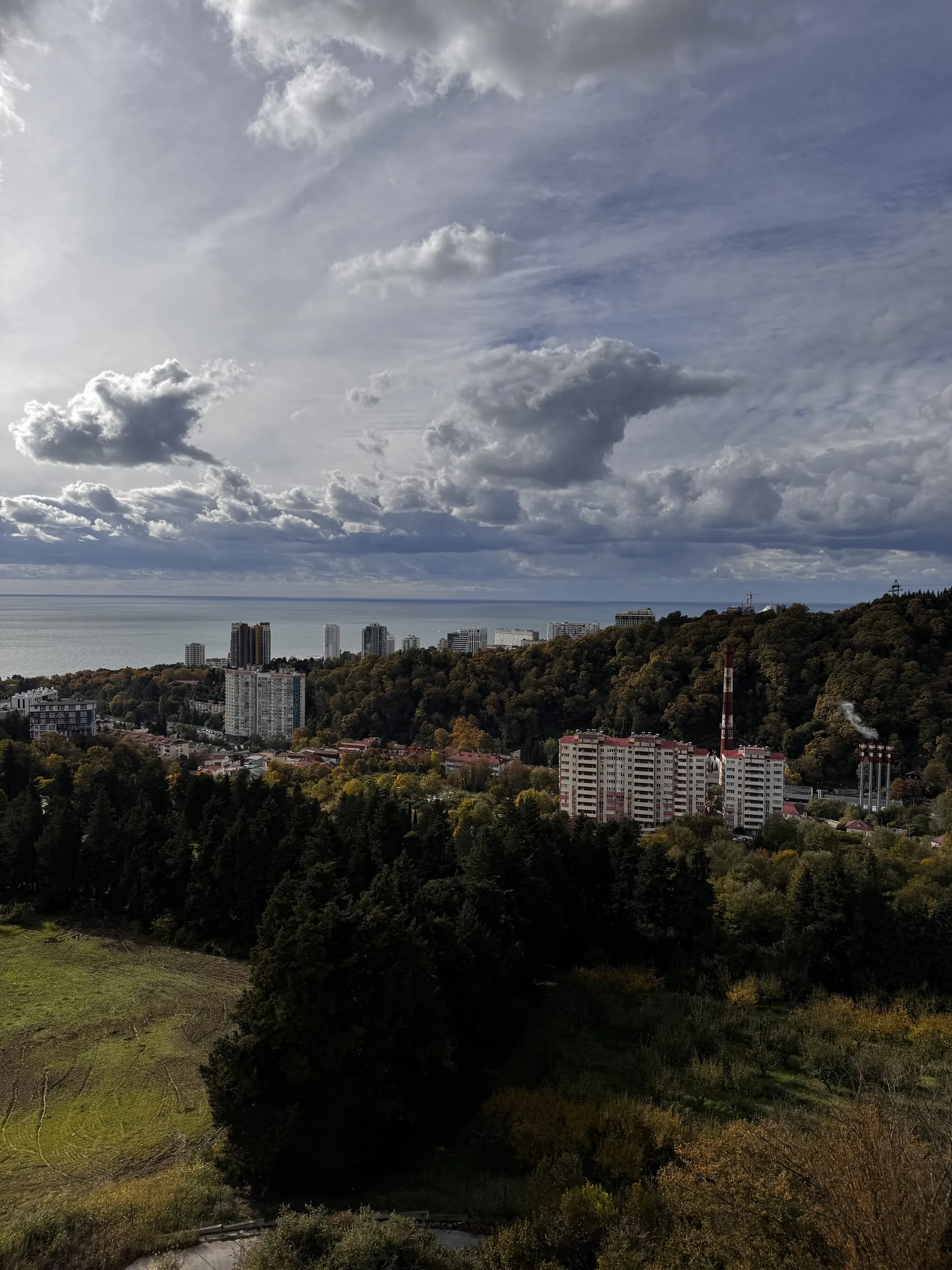Дневной вид с высоты: море, город и зелень